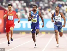  田龟源五郎猎物14中文版 -爱游戏体育网址